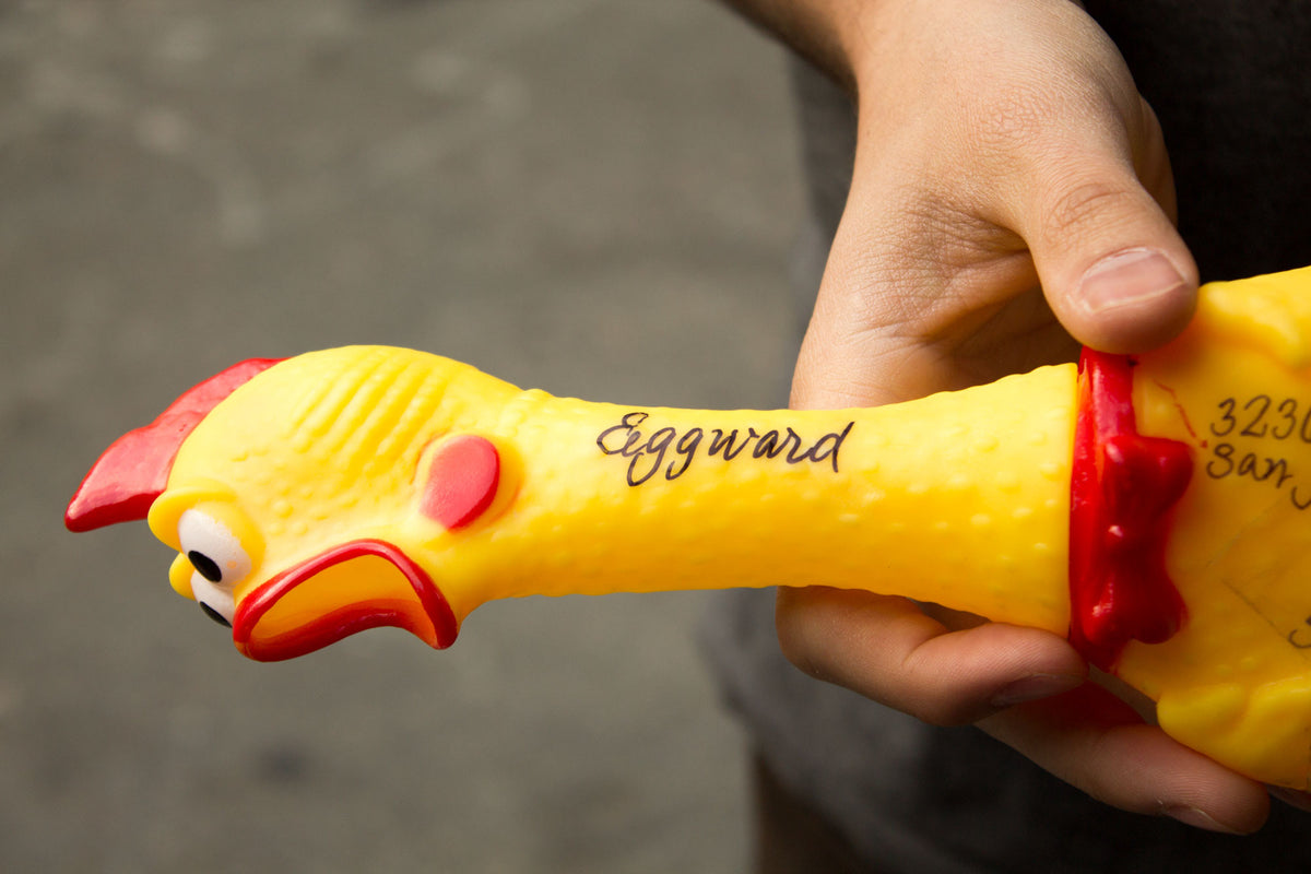 Deluxe Carrier Chicken: Send A Private Message